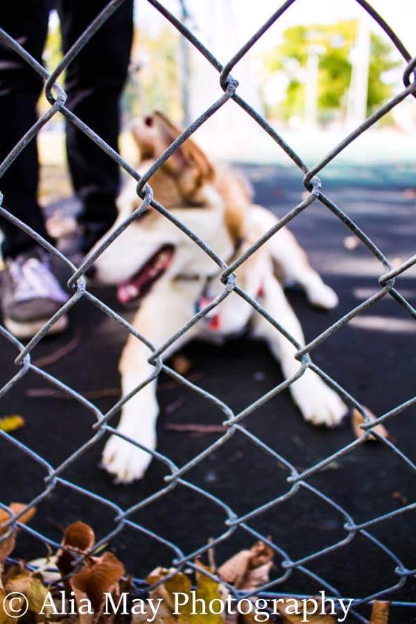 /Images/uploads/Humane Society of Utah/HSUCalendar/entries/624thumb.jpg